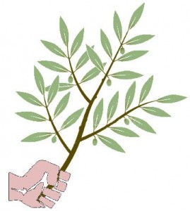 olive branch