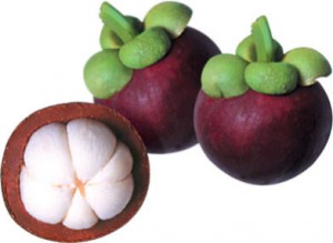 mangosteen