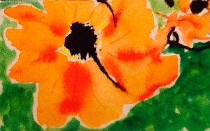 Poppy. India ink, watercolor.