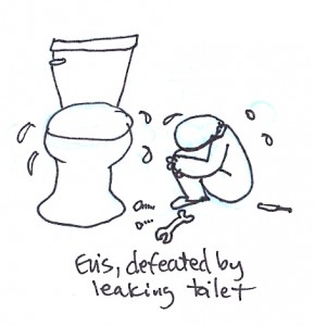 eris and toilet